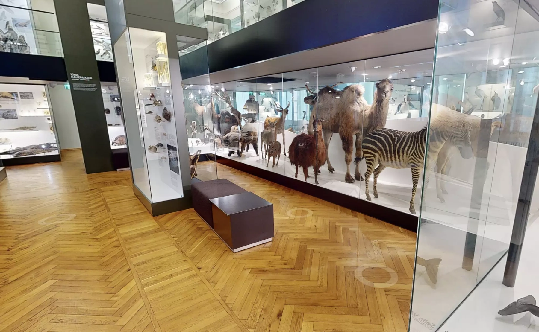 Monument Historique Avec Visite Virtuelle Immersive